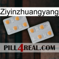 Ziyinzhuangyang 25